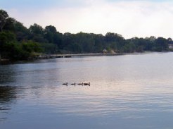 Rockwood Beach Pictures